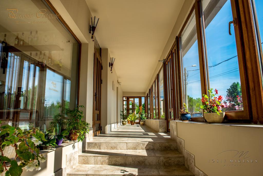 克卢日-纳波卡 Panoramic Cetatuie酒店 外观 照片